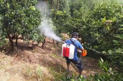 唑醚代森聯(lián)可以與磷酸二氫鉀混用嗎，混合使用沒問題