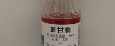 草甘膦除草劑噴施多久見效，一般在7-10天內即可見效