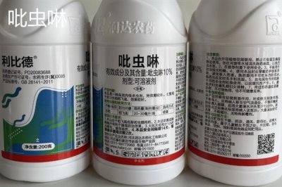 防治蚜蟲用什么藥，馬拉硫磷、殺螟松、抗蚜威等藥物均可起到滅殺效果