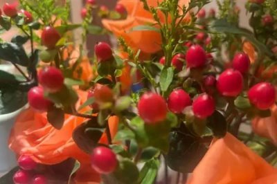 紅果金絲桃的花語，寓意嬌媚誘惑、迷信等