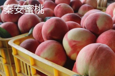 甘肅省天水市有哪些特產(chǎn)水果，包括秦安蜜桃、秦安蘋果、麥積核桃等種類