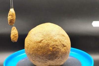 怎么在黑坑中釣青魚，用顆粒飼料打窩可起到引誘效果