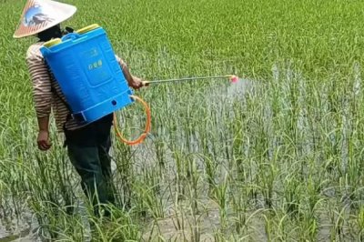 磷酸二氫鉀如何兌水，根據(jù)作物及使用方法調(diào)整兌水量