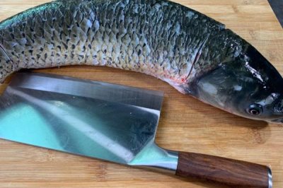 草魚比鯉魚貴的原因，肉質(zhì)和口感比鯉魚更好
