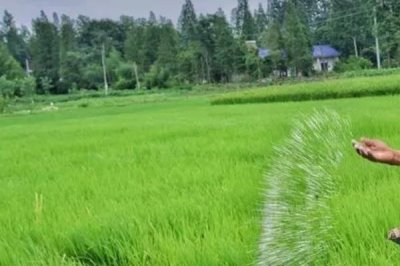 磷肥怎么使用，了解這9個(gè)要點(diǎn)
