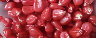 玉米拌種的作用，可有效防爛種、病蟲害及倒伏