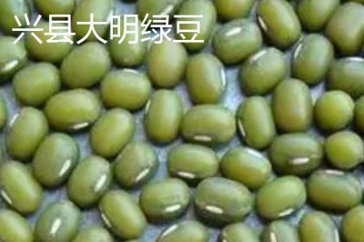 山西省山陰縣的特產(chǎn)，包括山陰油炸糕、山陰荷藕、山陰燕麥等種類