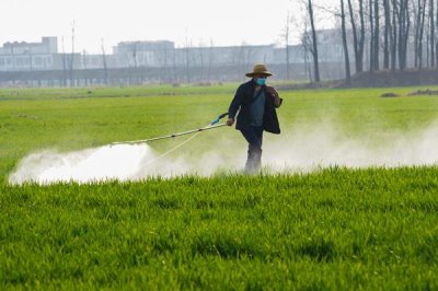 咪鮮胺可以防治什么病害，對水稻惡苗病、稻瘟病、小麥赤霉病等病害具有防效