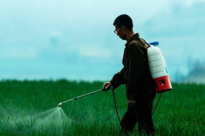 毒死蜱有什么作用，可防治多種咀嚼式與刺吸式口器害蟲