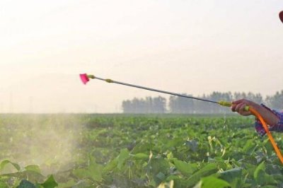 除草劑3打3不打指的是什么，打大不打小、打密不打稀