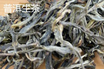 普洱茶的產(chǎn)地，主產(chǎn)于云南省
