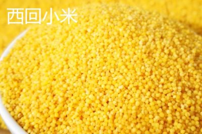 山西陽泉的特產(chǎn)，連翹茶是當(dāng)?shù)氐奶厣璺N