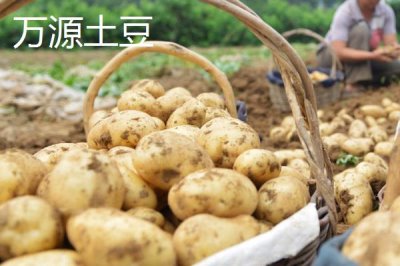 四川省萬源市的特產，紅豆腐是當?shù)赝撂禺a品