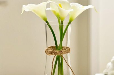 紫色馬蹄蓮的花語，寓意希望、單純的愛等