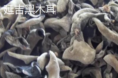 吉林省延吉市的特產(chǎn)，長白山人參是知名特產(chǎn)