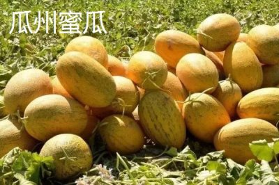 甘肅省天水市有哪些特產(chǎn)水果，包括秦安蜜桃、秦安蘋果、麥積核桃等種類
