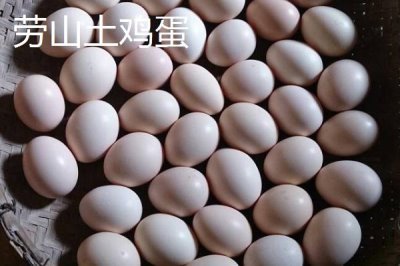 我國(guó)雞蛋產(chǎn)地，主要集中在華東、華北以及東北等地區(qū)