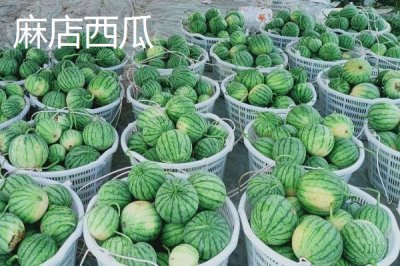 山東惠民縣的特產(chǎn)，惠民西瓜具有悠久歷史