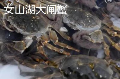 安徽省明光市的特產(chǎn)，明光梅魚(yú)一直列為席上佳肴