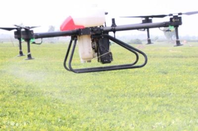 甲基二磺隆為什么易發(fā)生藥害，用量掌握不準(zhǔn)或盲目混用會(huì)導(dǎo)致