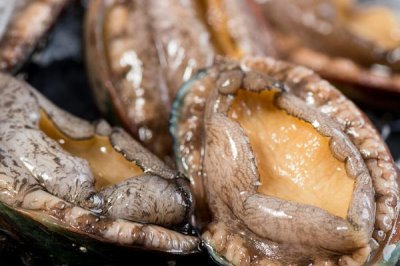 鮑魚的產(chǎn)地，在我國(guó)主產(chǎn)于大連、膠東等地方