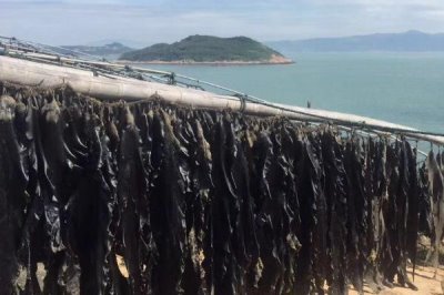 霞浦紫菜的產(chǎn)地，產(chǎn)于寧德市霞浦縣