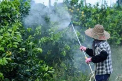 惡霉靈的作用，可提高作物生理活性且促進(jìn)根的分蘗