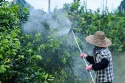 咪鮮胺的作用，可防治子囊菌和半知菌引起的多種病害