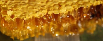 正宗洋槐蜜的特征，通常呈透明的水白色