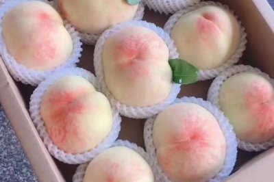 鳳橋水蜜桃的上市時(shí)間，通常為每年的6-8月份