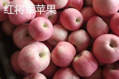 常見(jiàn)的蘋(píng)果品種，紅富士、金帥、紅將軍等品種較常見(jiàn)