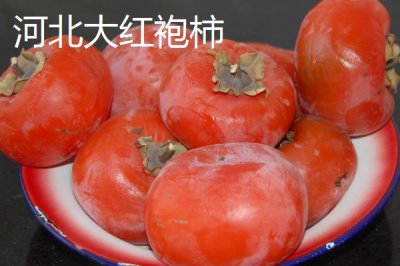 河北石家莊有哪些特色水果，著名特產(chǎn)包括雪花梨