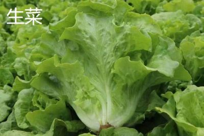可以在夏季種植的蔬菜品種，高溫天氣有利于苦瓜發(fā)育