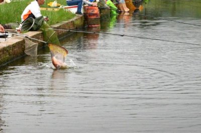 釣鯽魚如何避免小魚鬧窩，增加鉛墜的重量可避開小魚活動層