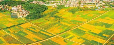 我國農(nóng)業(yè)發(fā)展的特點(diǎn)，現(xiàn)代化農(nóng)業(yè)生產(chǎn)過程機(jī)械化且生產(chǎn)技術(shù)科學(xué)化
