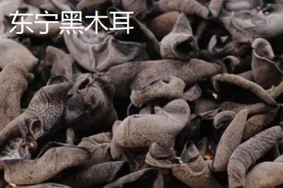 黑龍江省依安縣的特產(chǎn)，包括依安紫花油豆角、依安甜菜等種類
