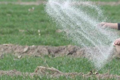 復(fù)合肥撒在地表多長時(shí)間會(huì)揮發(fā)，揮發(fā)時(shí)間與溫度有關(guān)