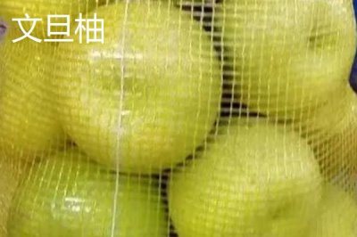 黃金蜜柚和紅柚對比，紅柚更美觀且口感更佳
