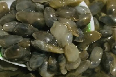 黃泥螺的產(chǎn)地，主產(chǎn)于東北部的沿海地區(qū)