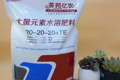 水溶肥的價格，實際售價因地而異