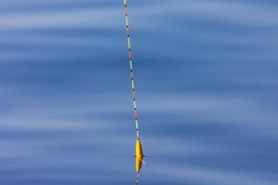 怎么在黑坑中釣青魚，用顆粒飼料打窩可起到引誘效果