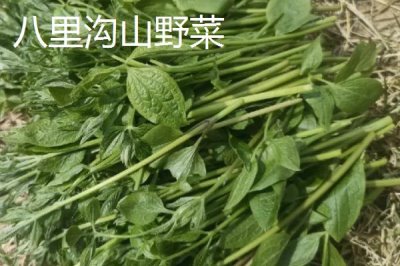 河南輝縣市的特產，輝縣香稻是我國水稻名貴品種之一