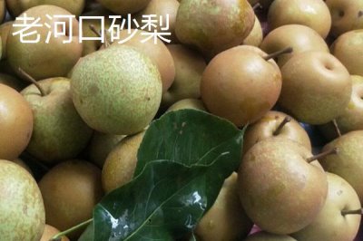 湖北老河口的特產(chǎn)，這8種都值得帶走