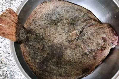 多寶魚常見(jiàn)病害怎么防治，需根據(jù)具體防治對(duì)象采取措施