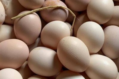 什么叫蟲(chóng)草雞蛋，就是指土雞蛋