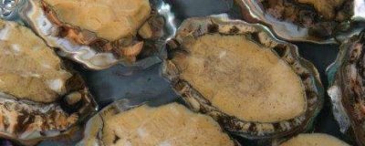 鮑魚幾頭鮑是什么意思，是指一斤能買到多少個(gè)鮑魚