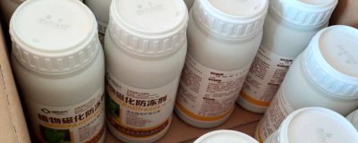 什么是植物防凍劑，是一類植物葉面肥