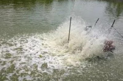 怎么處理渾濁的養(yǎng)殖水體，可在天氣晴朗時潑灑凈水劑