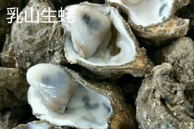 北海生蠔產(chǎn)于哪里，屬于廣西北海市的特產(chǎn)