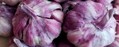 甘肅省民樂縣的特產(chǎn)，產(chǎn)出的蘋果梨具有中國一代梨王的美譽(yù)